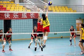 利兹联主帅谈多纳鲁马：我不喜欢让球员诈伤换取谈战术的时间