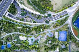 麻将职业选手训练强度调查